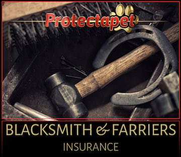 Blacksmiths shop with hammer, horse toe and cleaning brush promoting the Protectapet blacksmiths and farriers insurance 